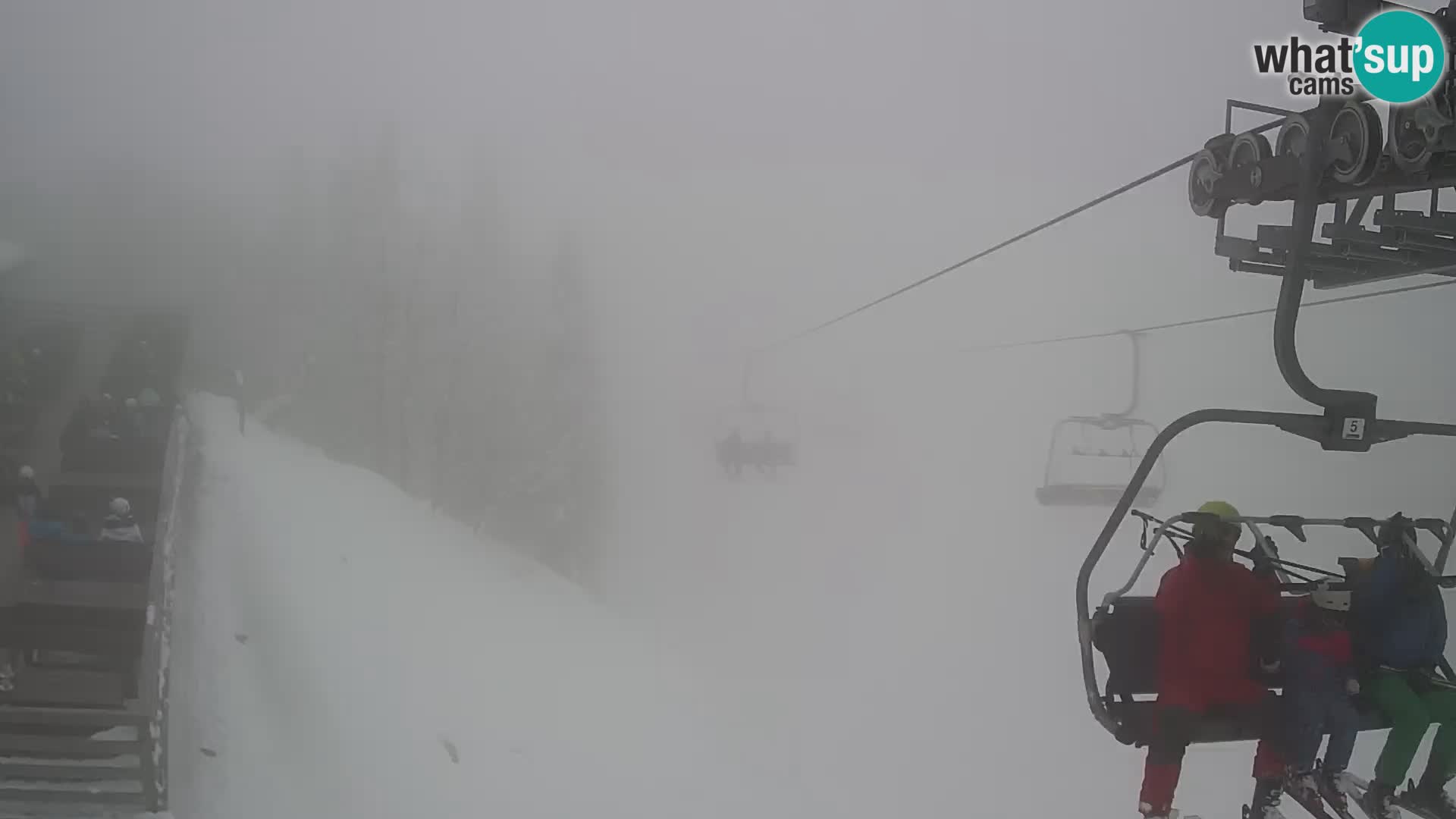 Vogel webcam kamera – Brunarica – Slowenien