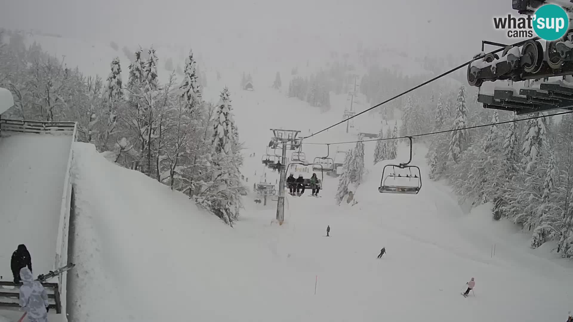 Vogel webcam en vivo – Brunarica – Eslovenia