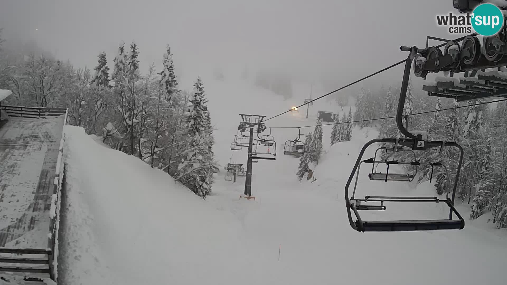 Vogel webcam livecam – Brunarica – Slovenia