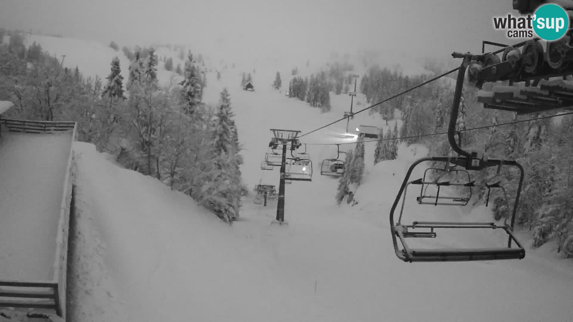 Vogel Live webcam – Brunarica – Slovénie