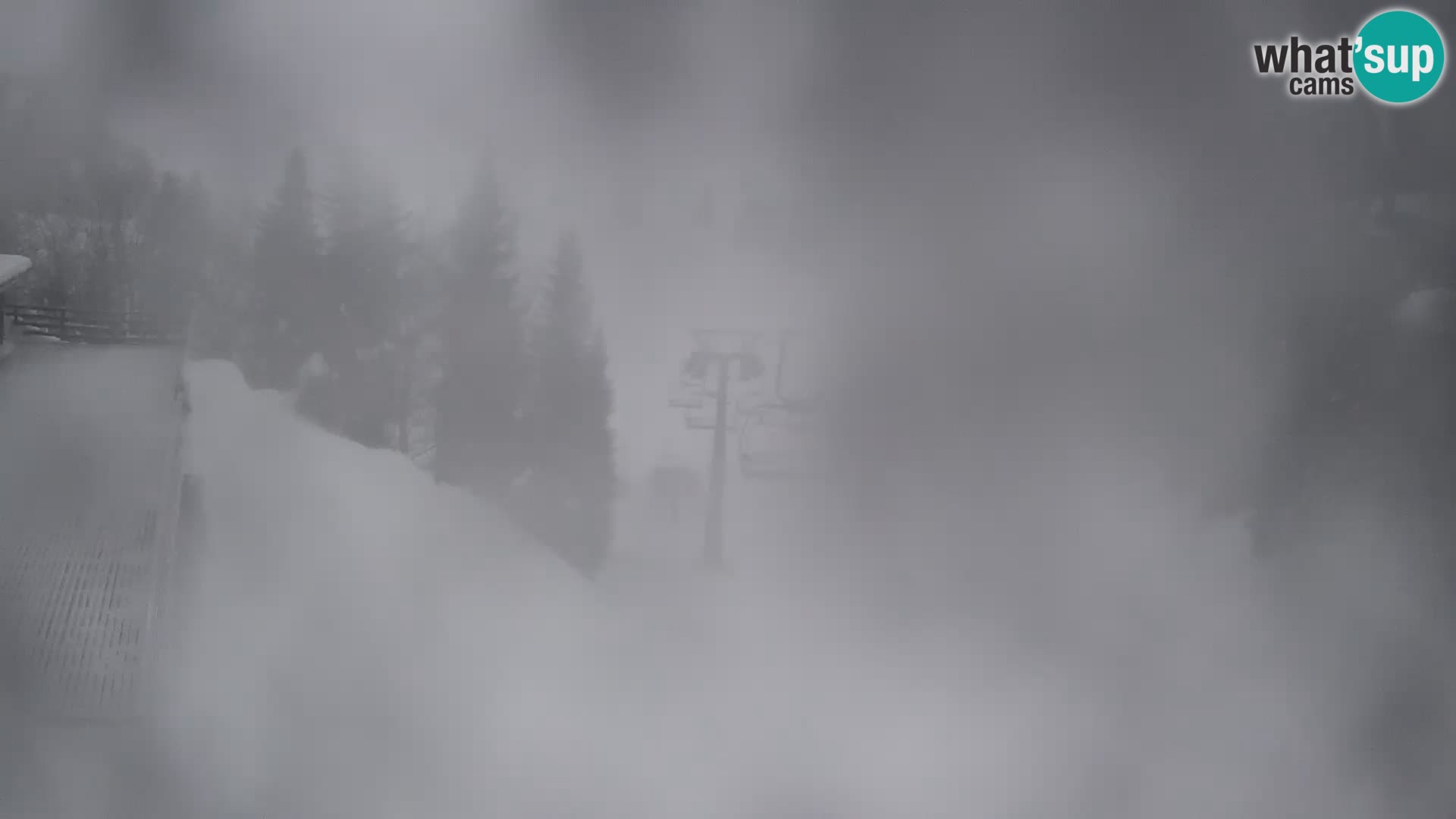 Vogel webcam livecam – Brunarica – Slovenia