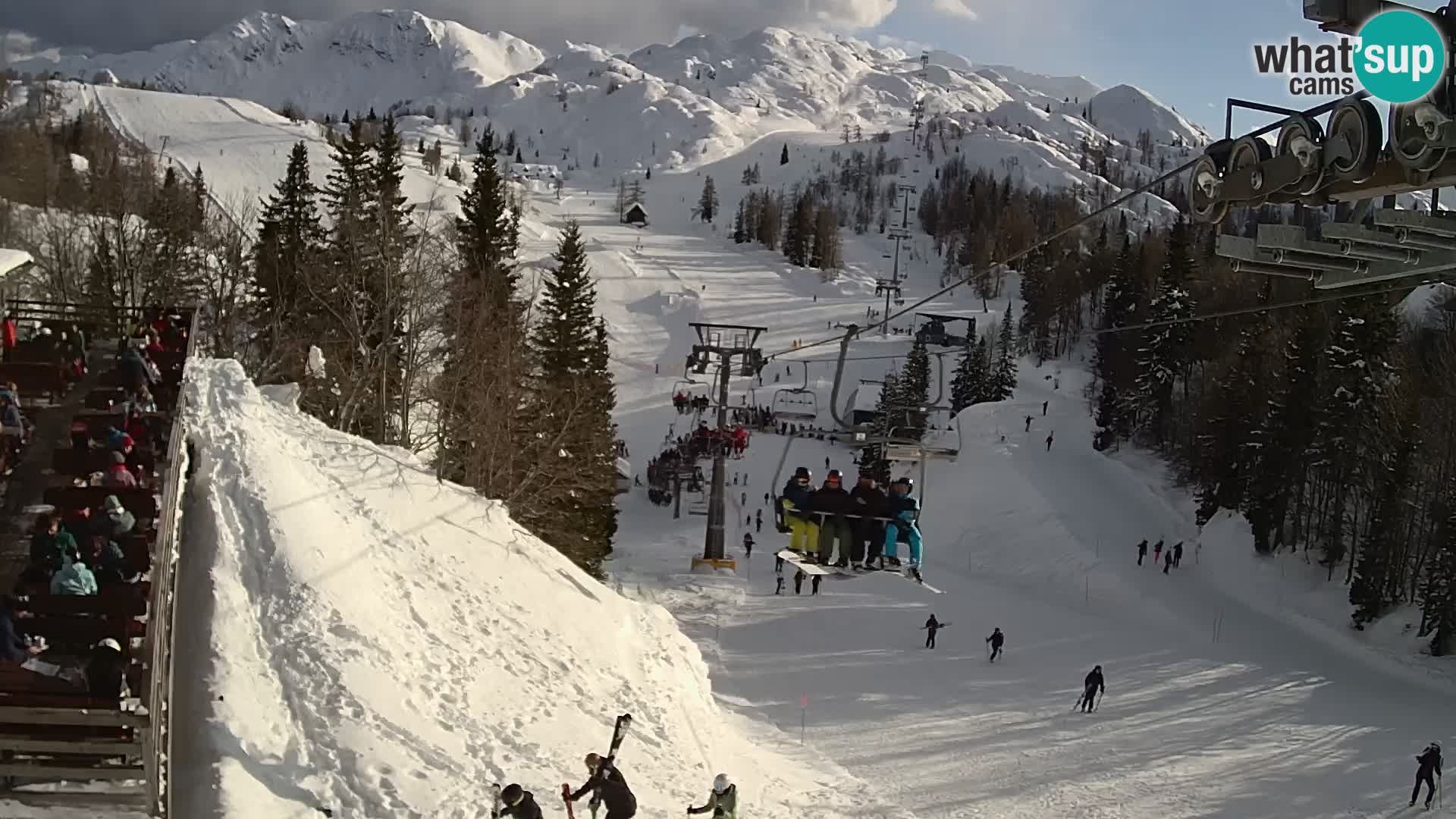 Vogel Live webcam – Brunarica – Slovénie