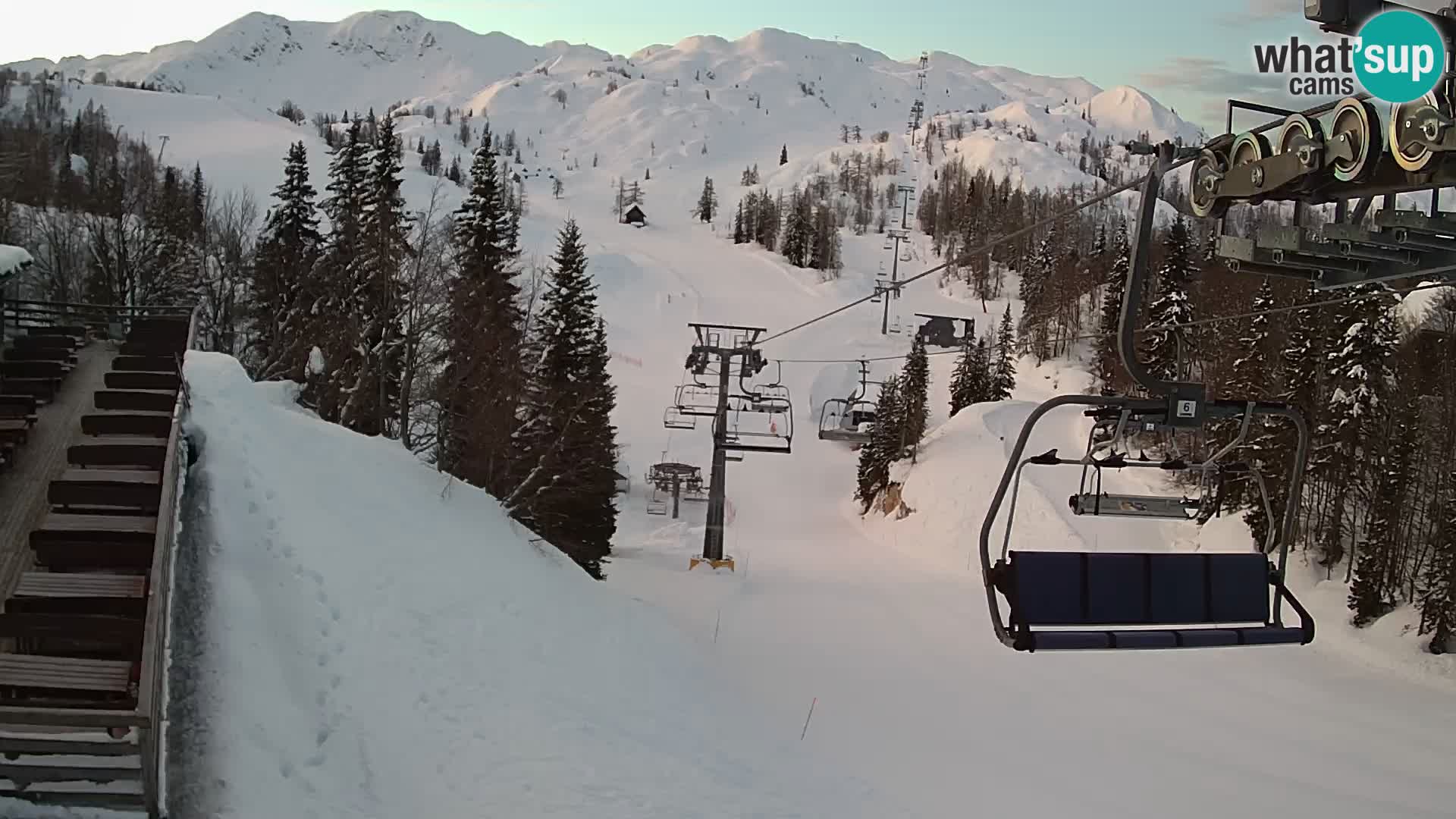 Vogel Live webcam – Brunarica – Slovénie