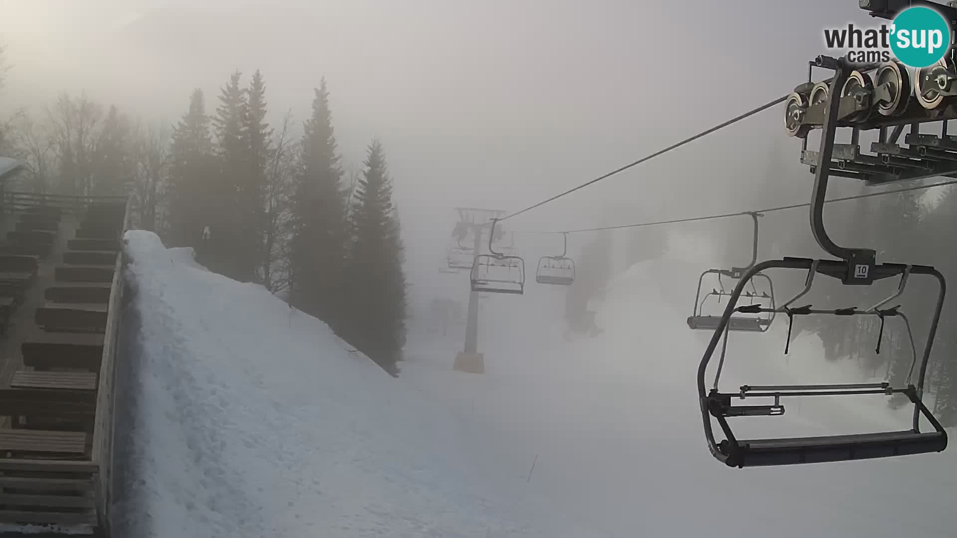 Vogel web kamera – Brunarica – Slovenija