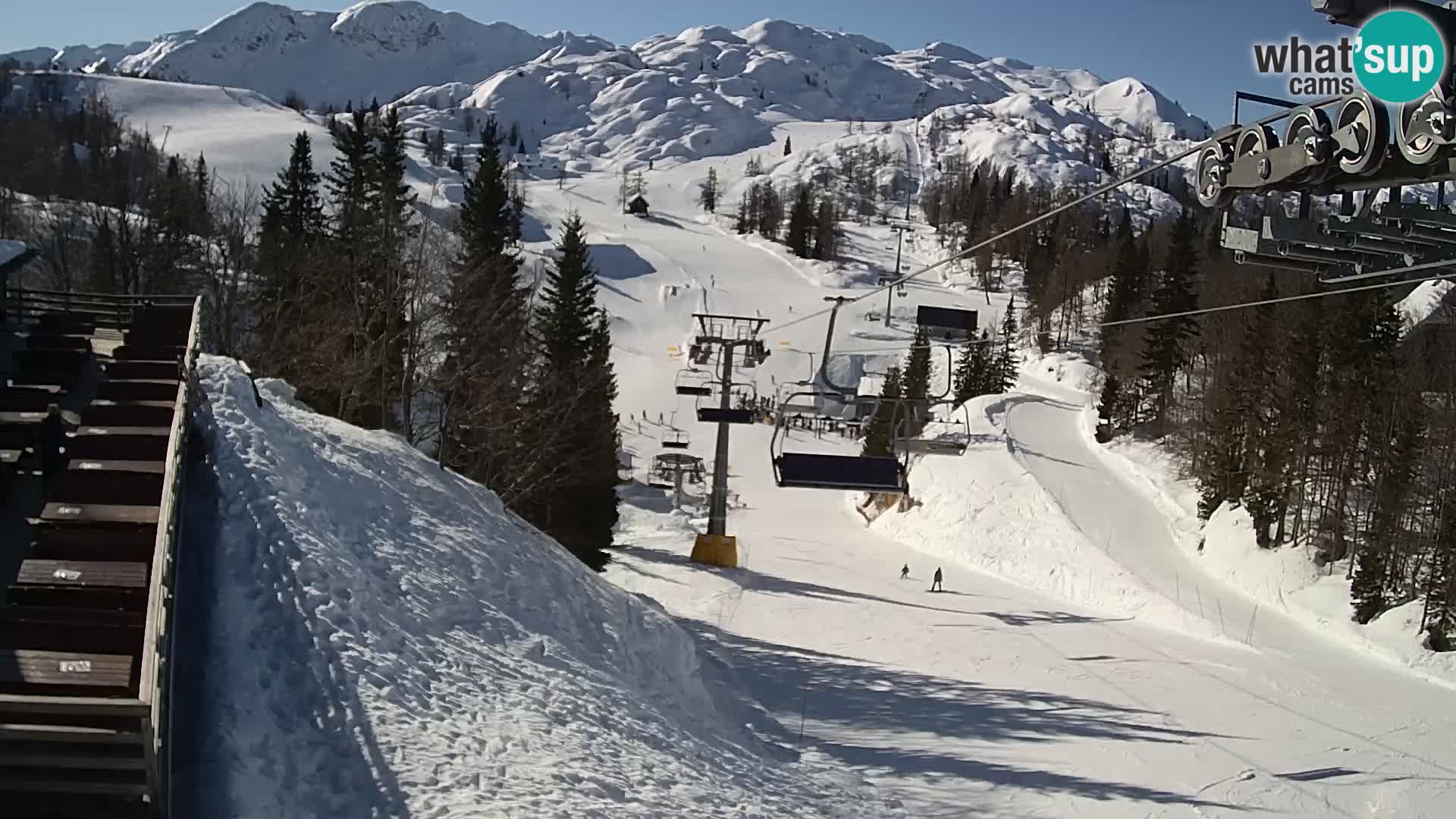 Vogel webcam kamera – Brunarica – Slowenien