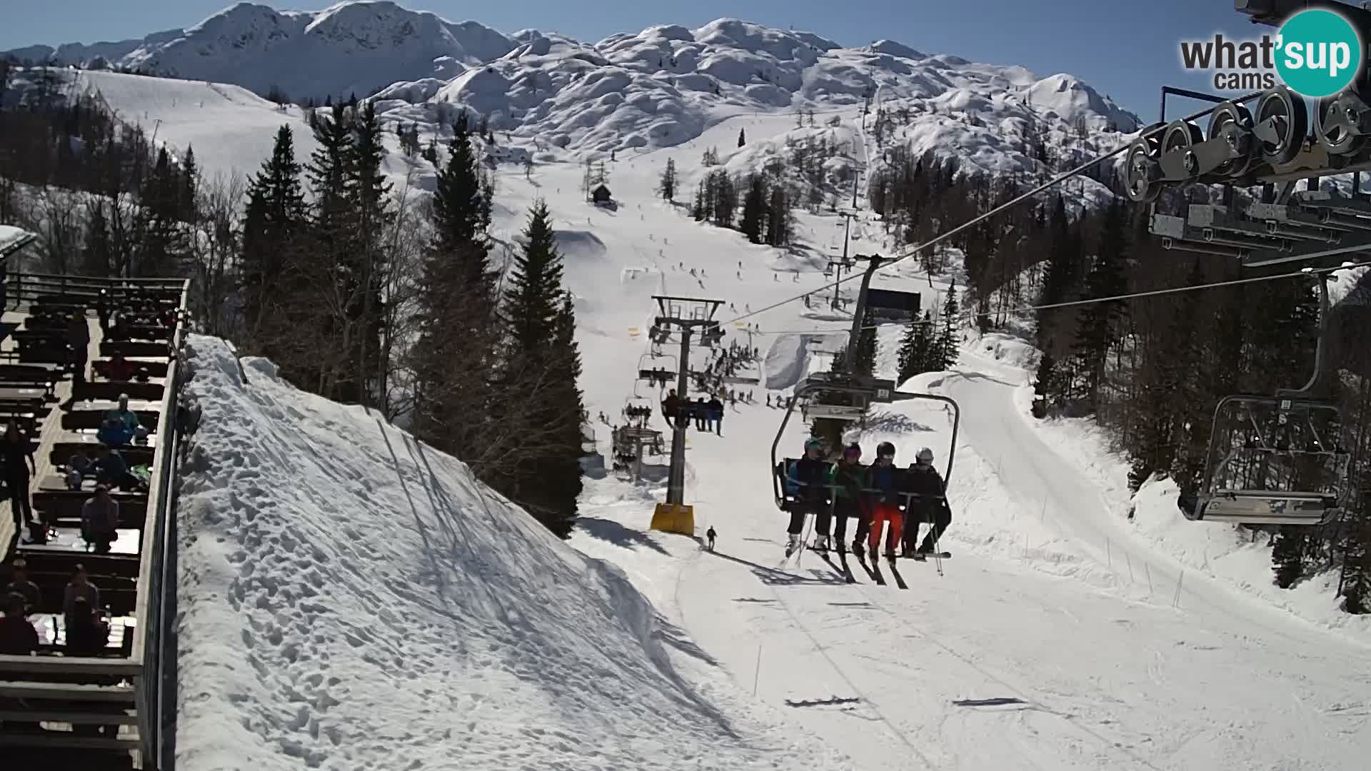 Vogel Live webcam – Brunarica – Slovénie