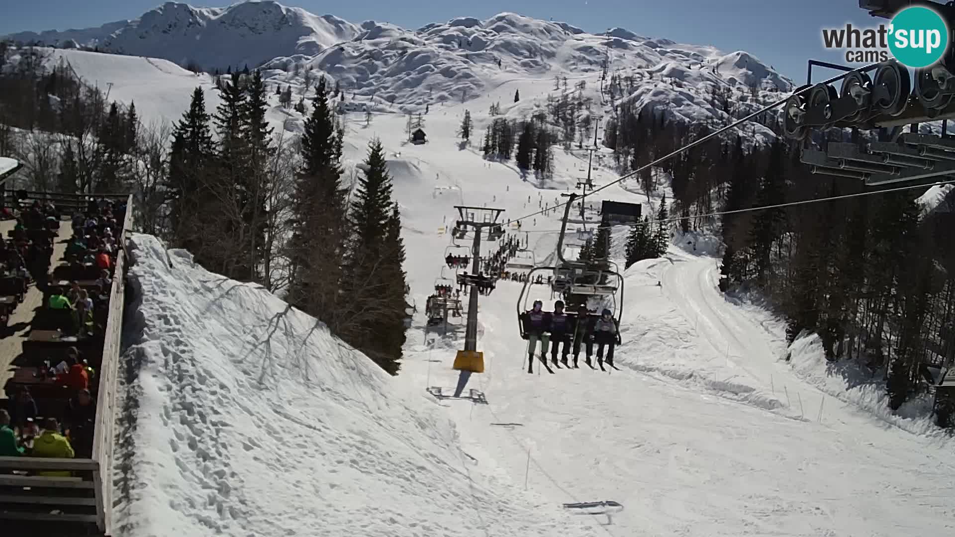 Vogel webcam en vivo – Brunarica – Eslovenia