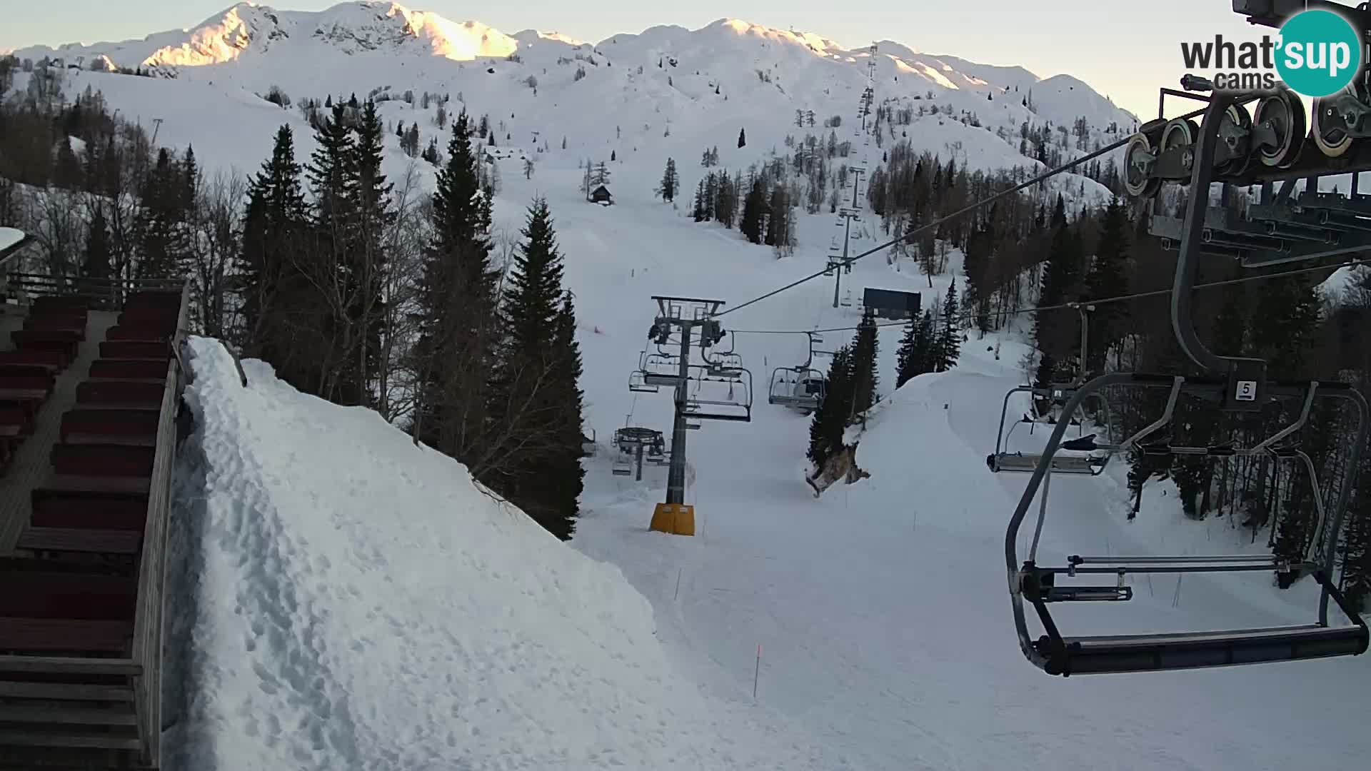 Vogel spletna kamera – Brunarica – Bohinj