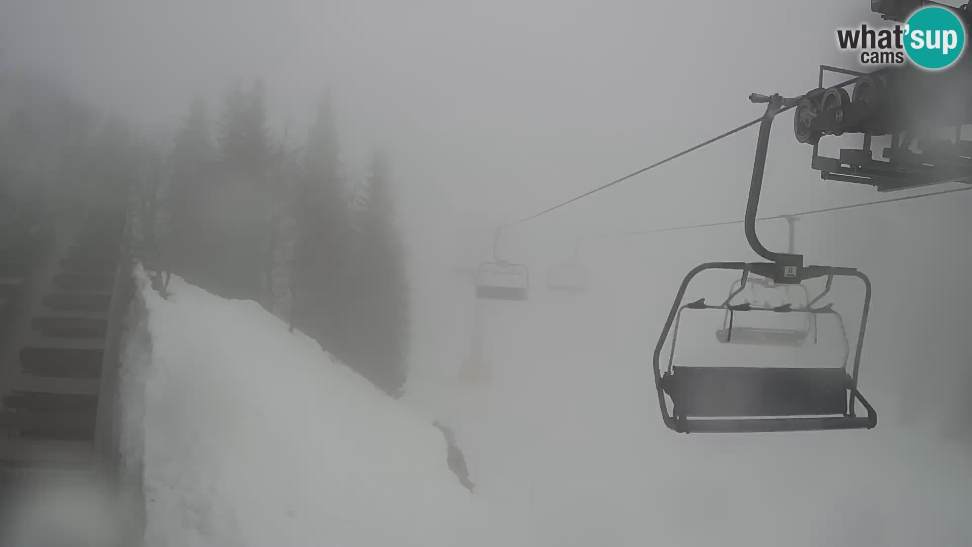 Vogel webcam kamera – Brunarica – Slowenien