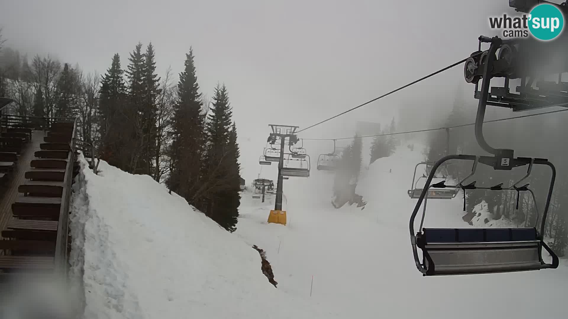 Vogel webcam livecam – Brunarica – Slovenia