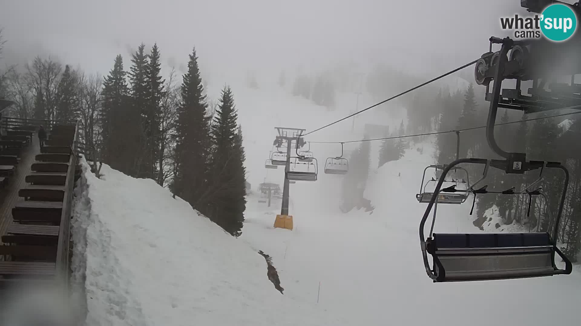 Vogel Live webcam – Brunarica – Slovenia