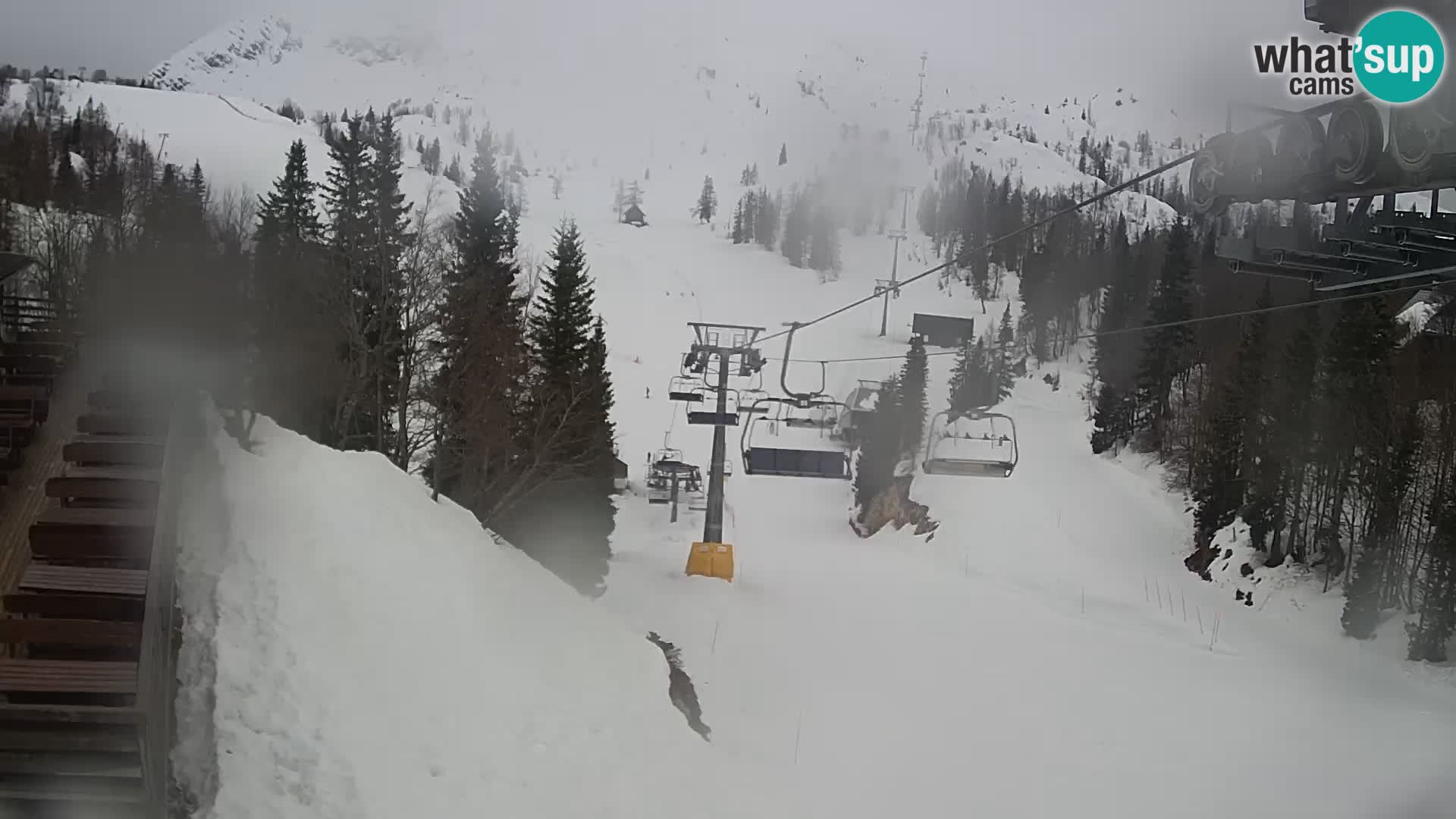 Vogel webcam en vivo – Brunarica – Eslovenia