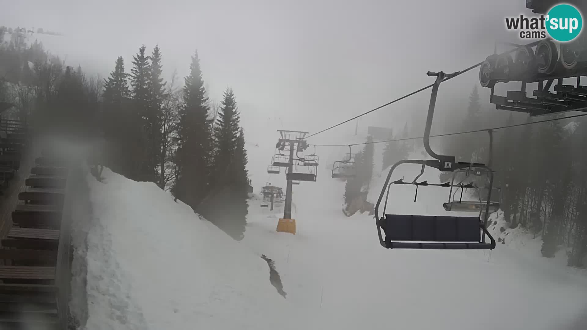 Vogel web kamera – Brunarica – Slovenija