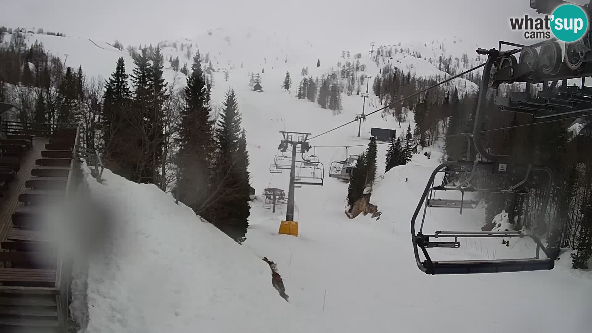 Vogel Live webcam – Brunarica – Slovénie