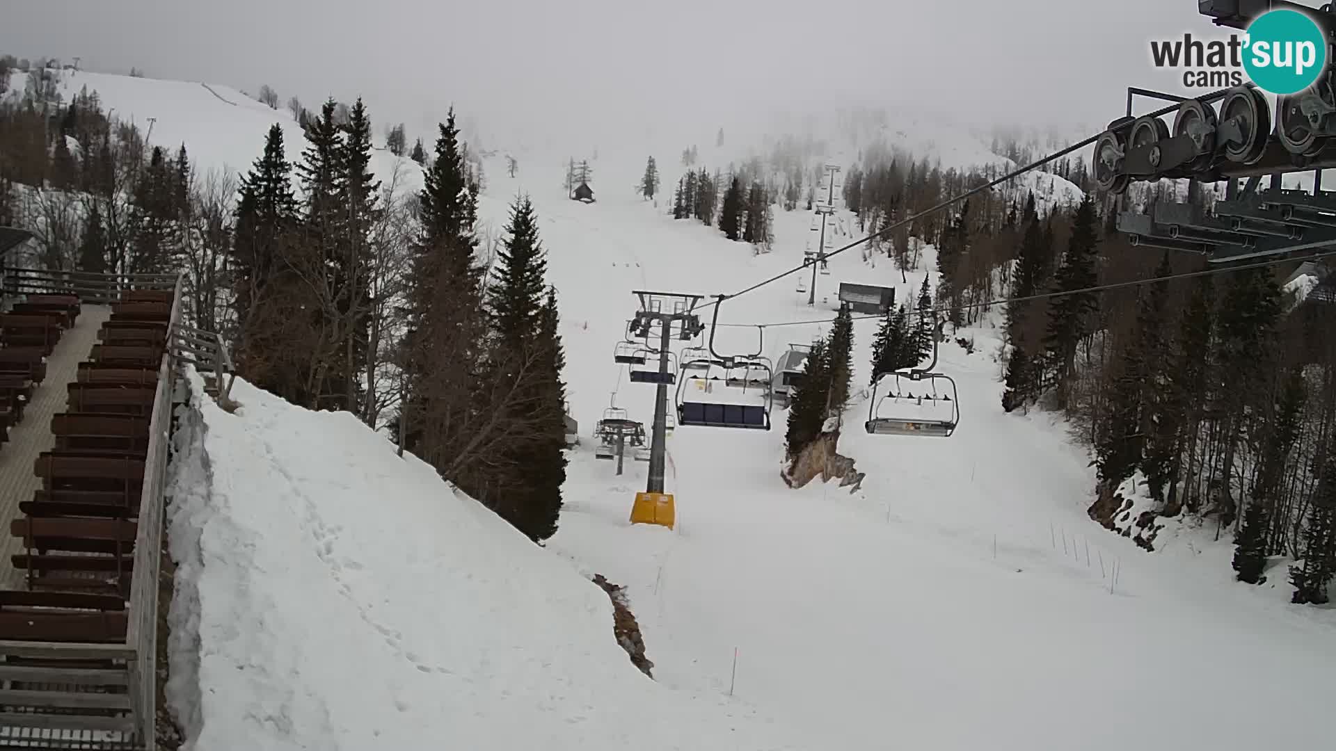 Vogel Live webcam – Brunarica – Slovenia