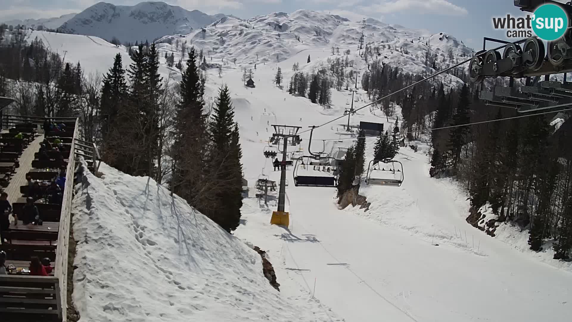 Vogel webcam kamera – Brunarica – Slowenien