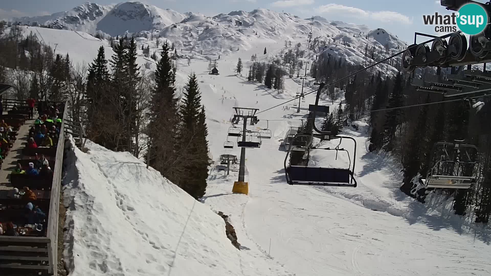 Vogel Live webcam – Brunarica – Slovénie