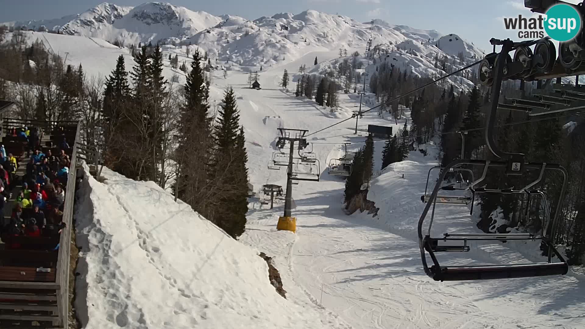 Vogel webcam livecam – Brunarica – Slovenia