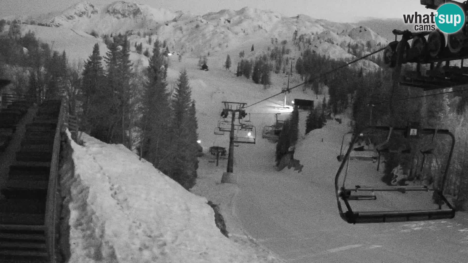 Vogel webcam en vivo – Brunarica – Eslovenia