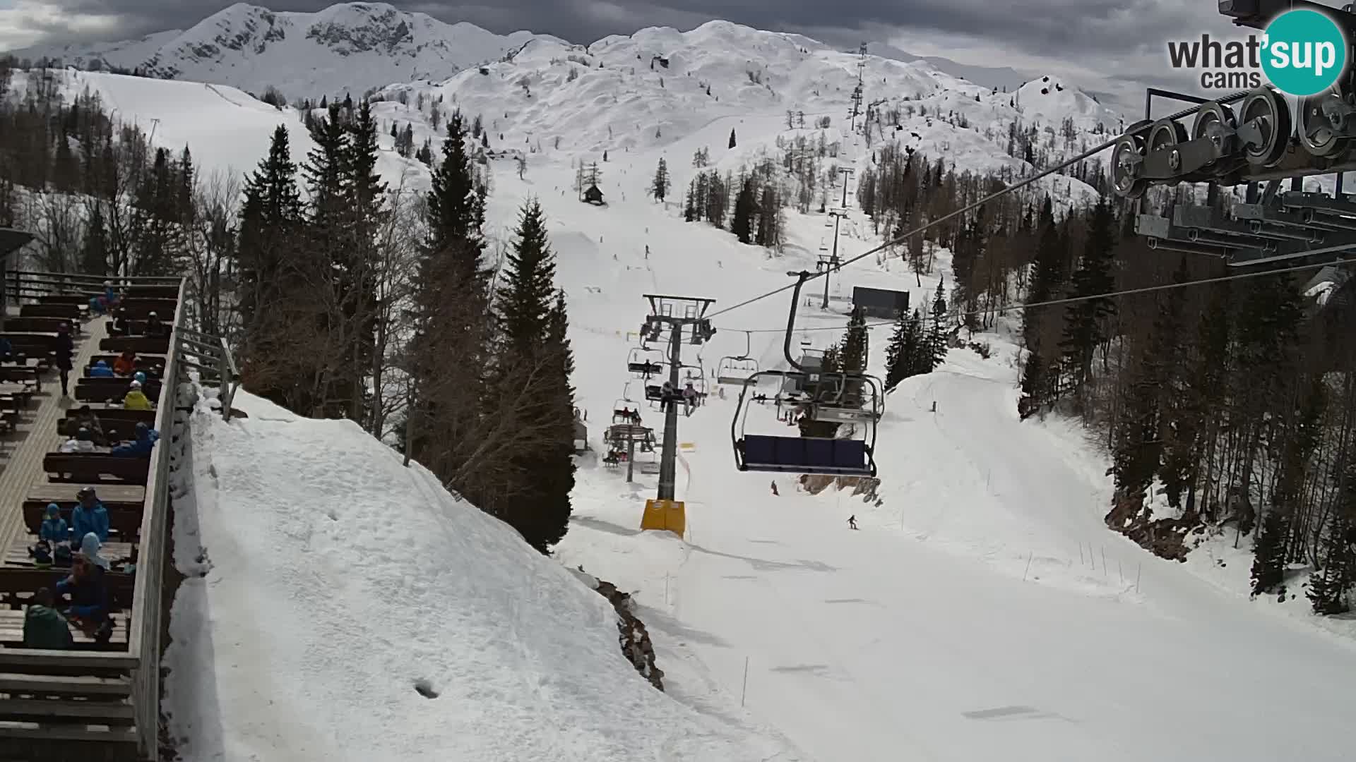 Vogel webcam livecam – Brunarica – Slovenia