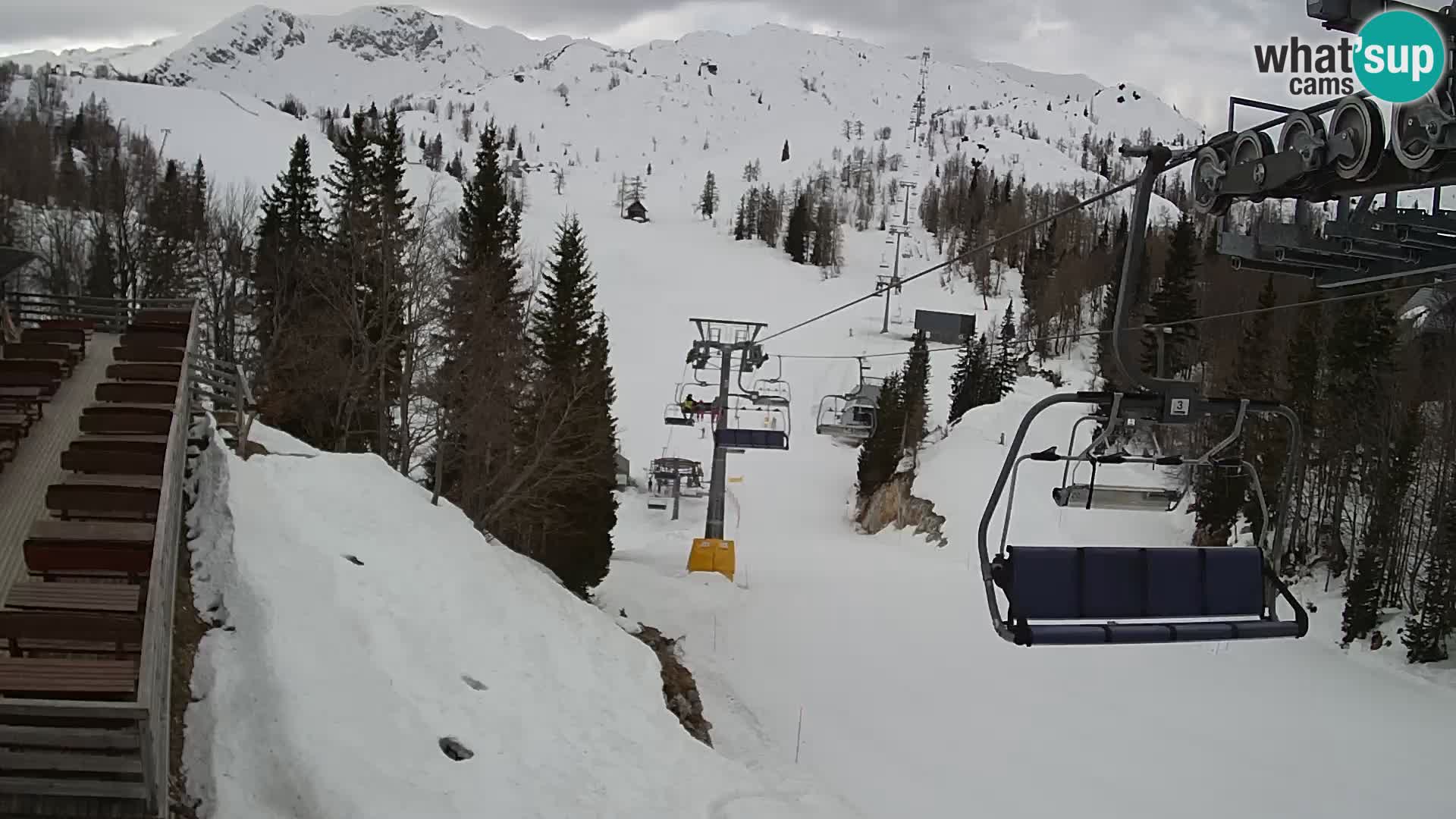 Vogel webcam en vivo – Brunarica – Eslovenia