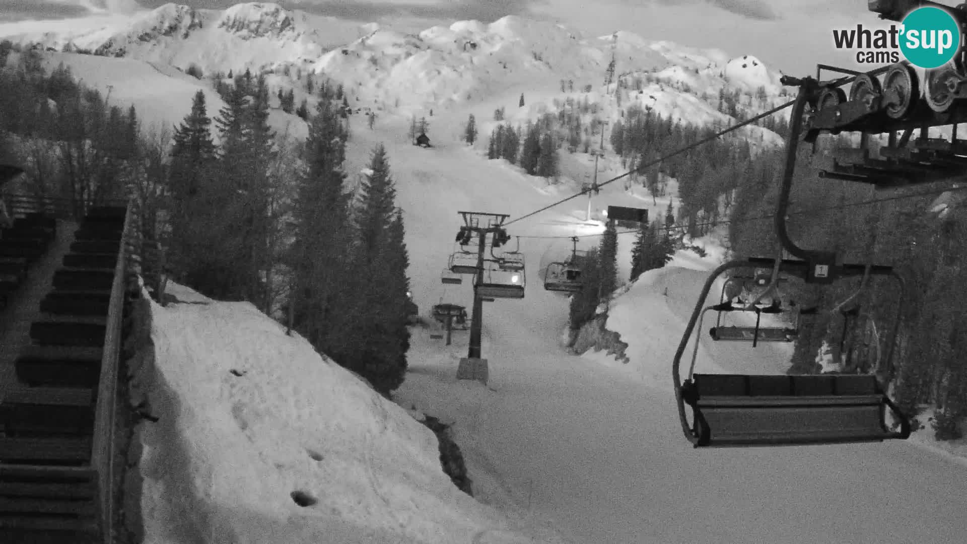 Vogel webcam livecam – Brunarica – Slovenia