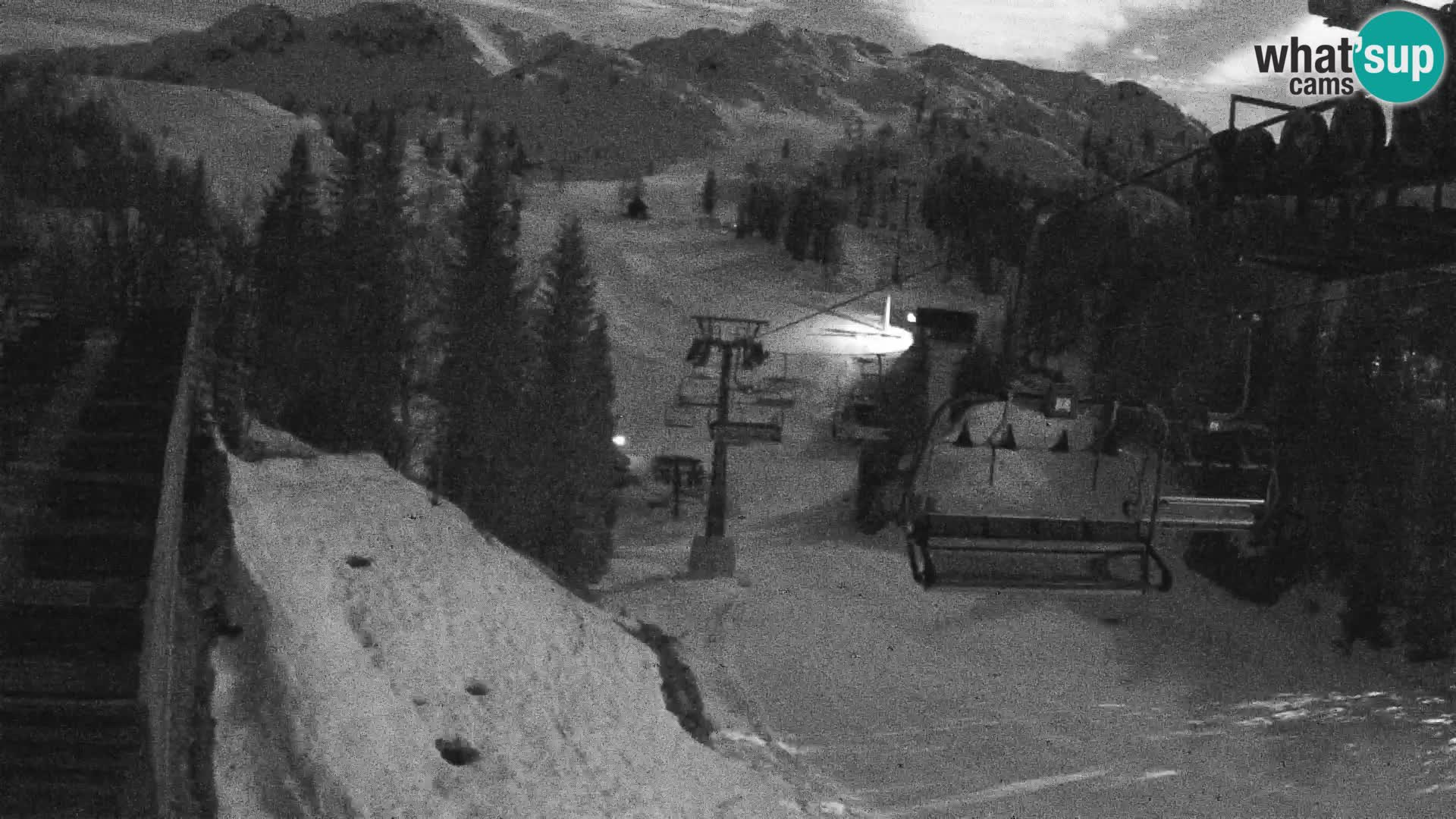 Vogel Live webcam – Brunarica – Slovenia