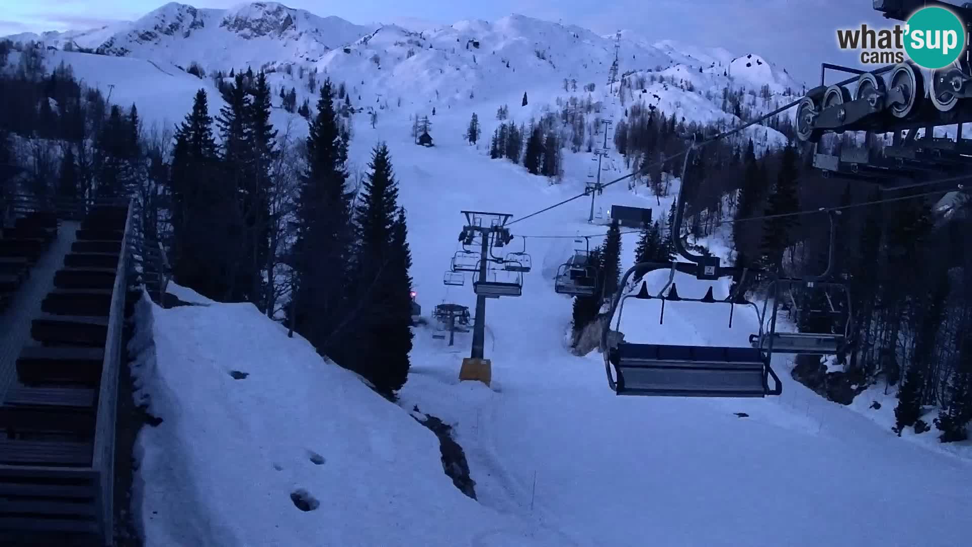 Vogel web kamera – Brunarica – Slovenija