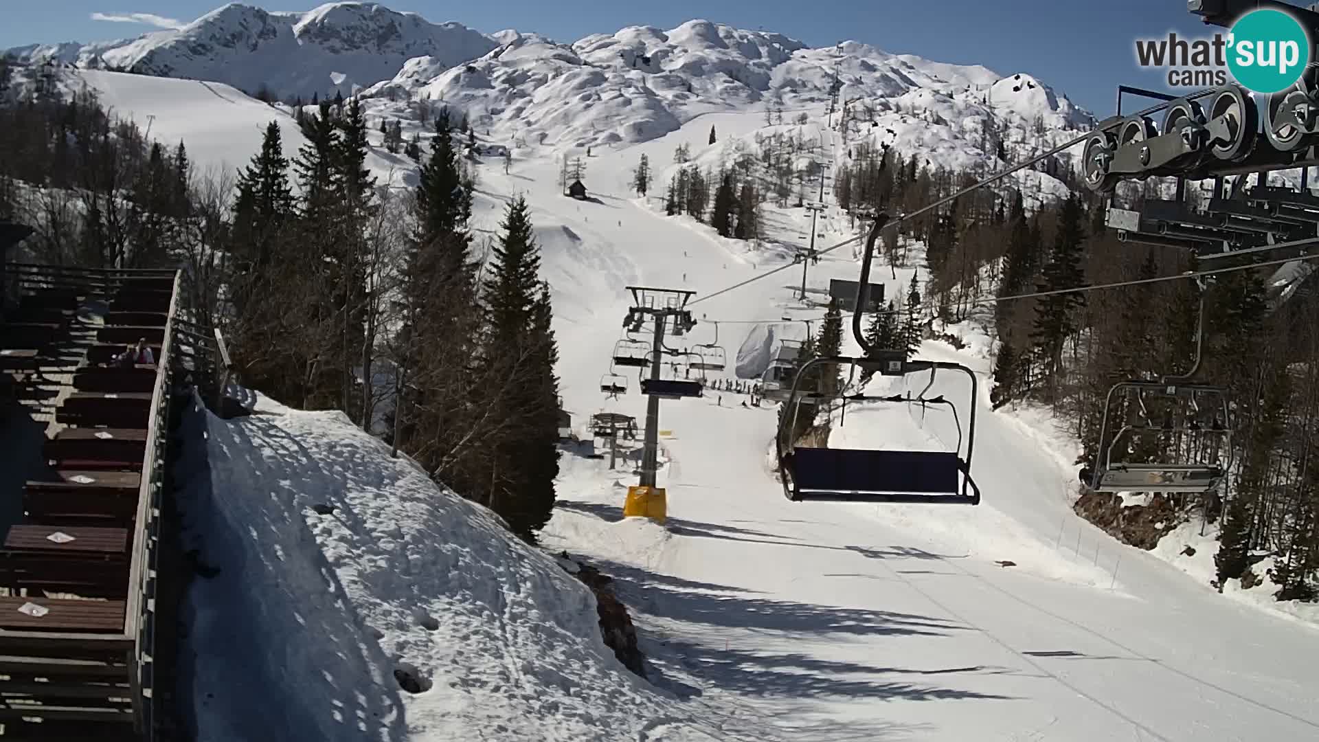 Vogel Live webcam – Brunarica – Slovénie