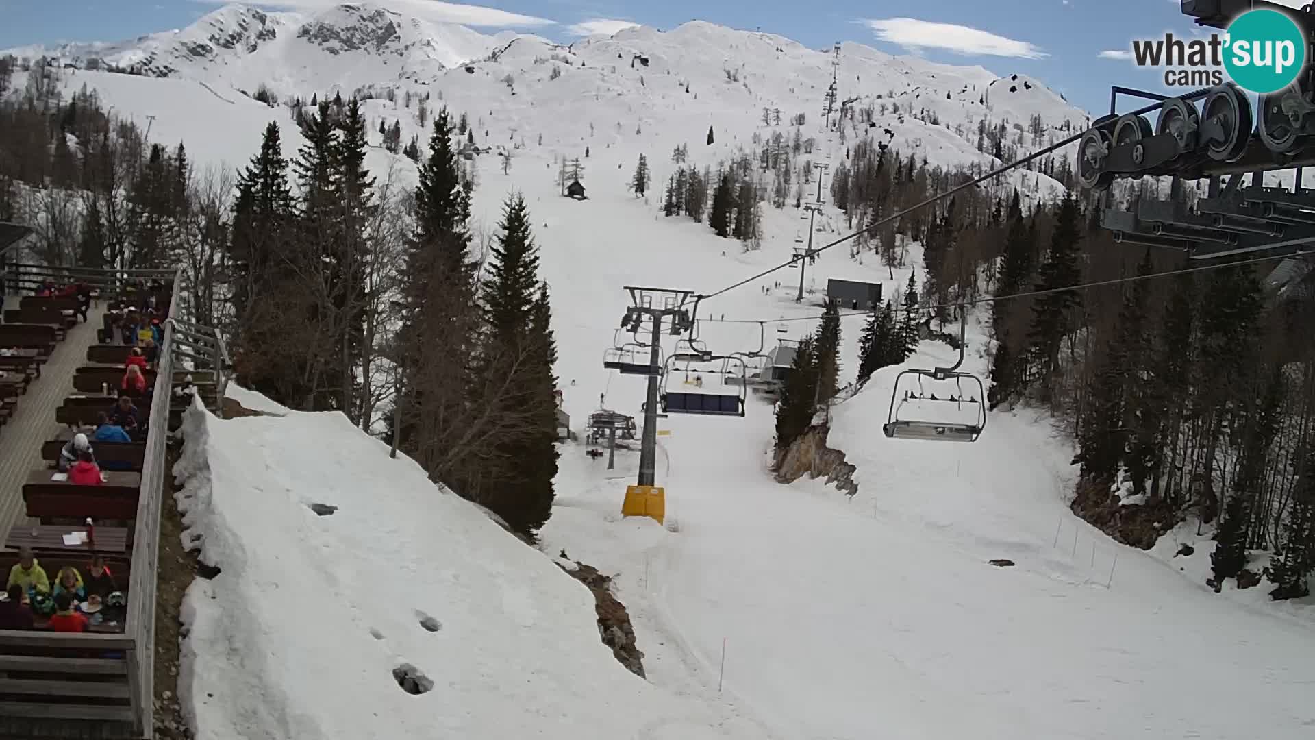 Vogel webcam livecam – Brunarica – Slovenia