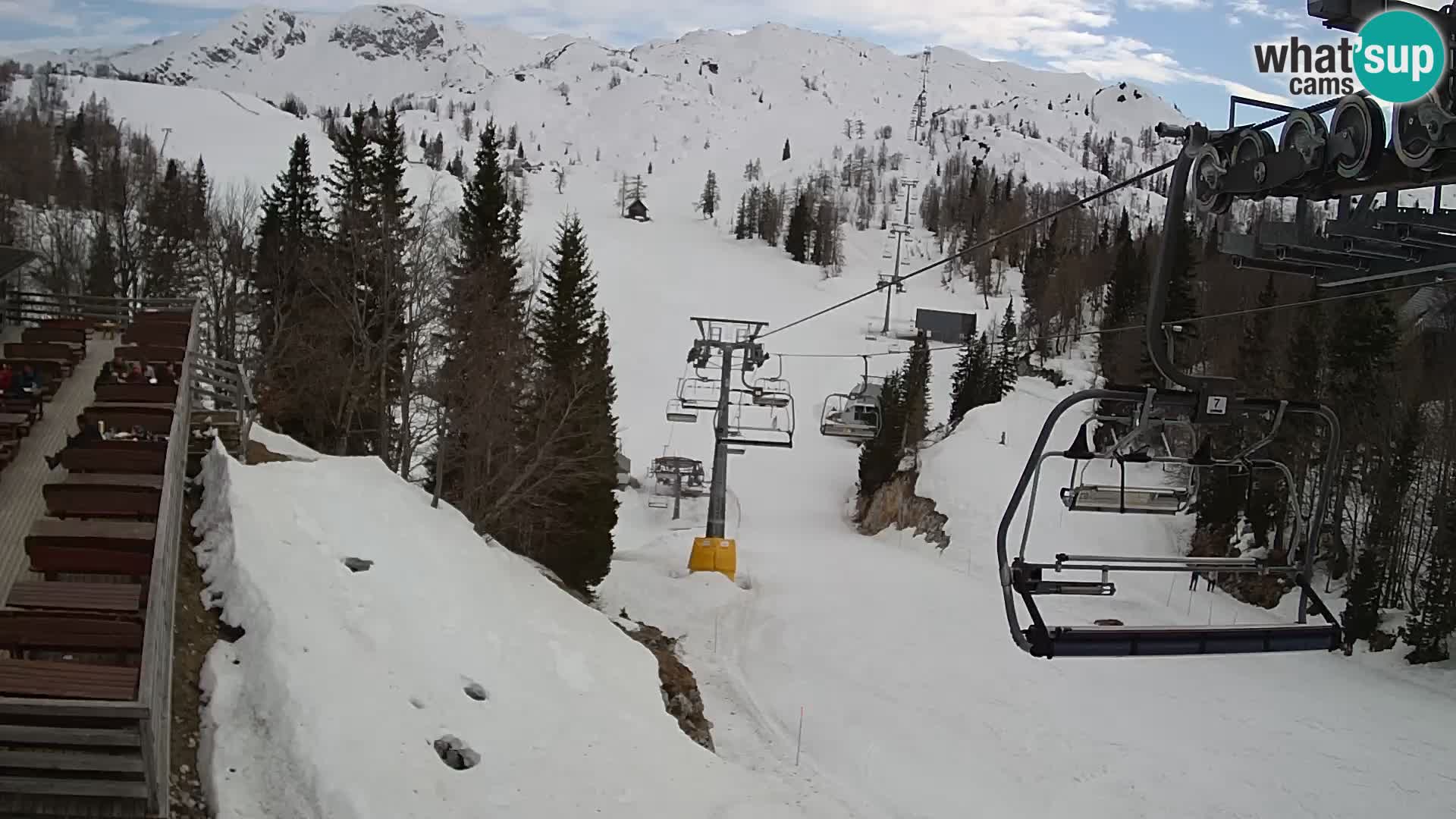 Vogel Live webcam – Brunarica – Slovénie