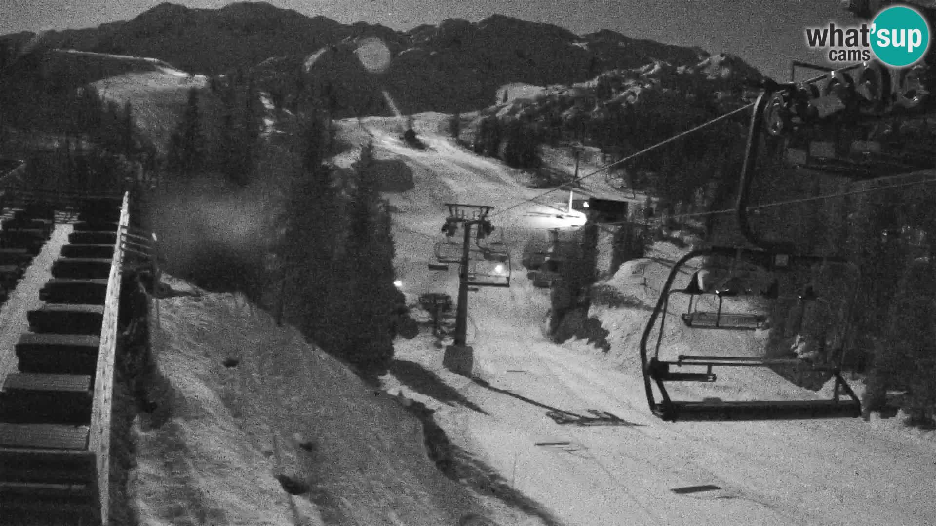 Vogel webcam kamera – Brunarica – Slowenien