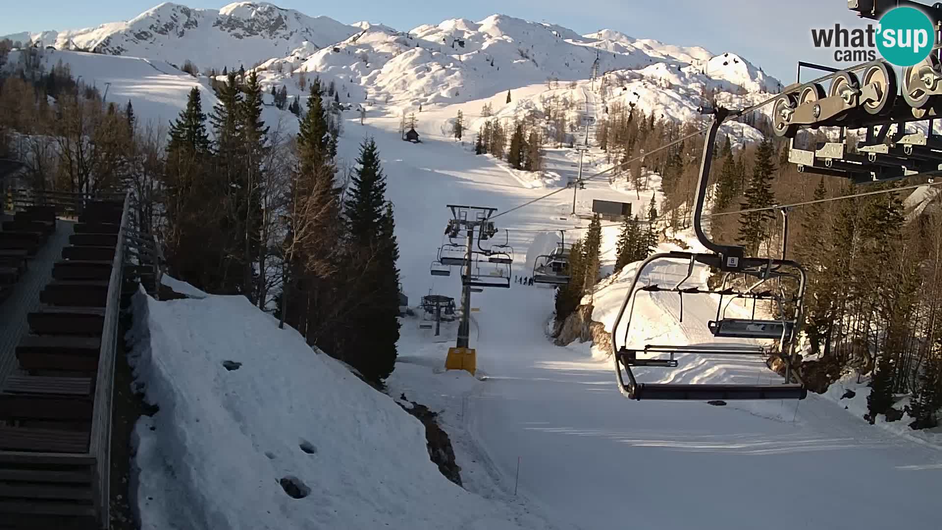 Vogel Live webcam – Brunarica – Slovenia