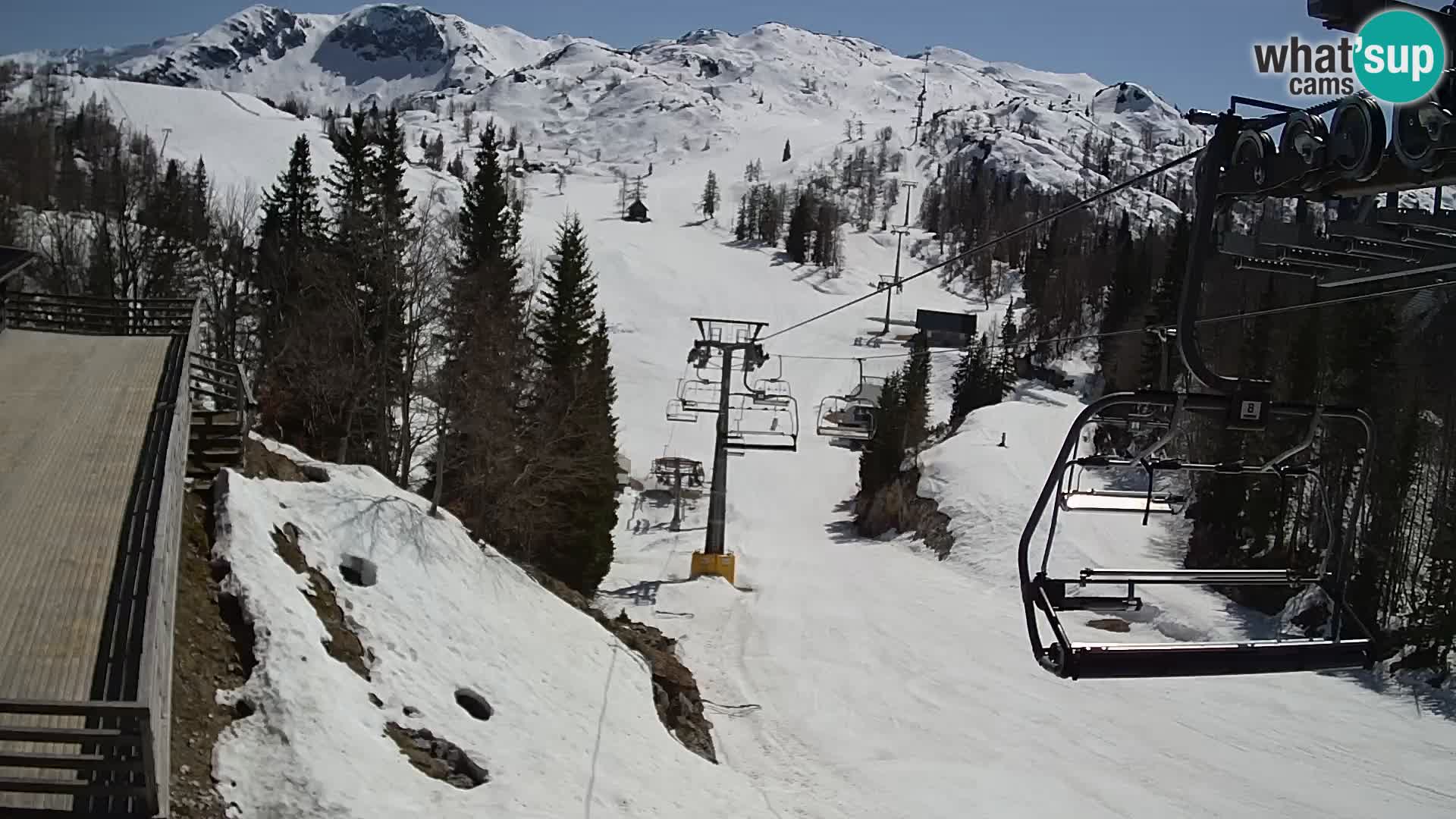 Vogel web kamera – Brunarica – Slovenija