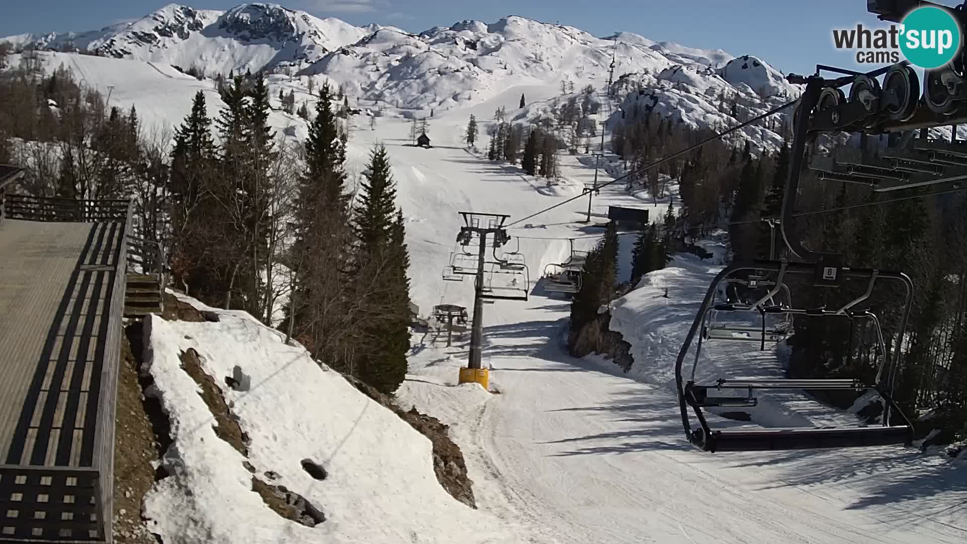 Vogel spletna kamera – Brunarica – Bohinj