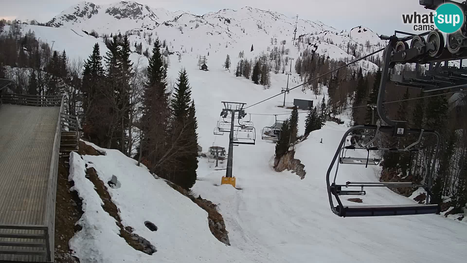 Vogel Live webcam – Brunarica – Slovenia