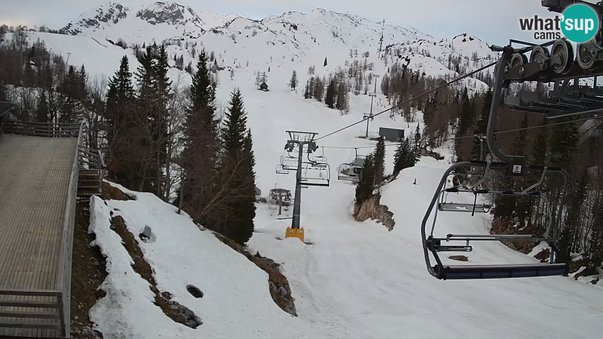 Vogel Live webcam – Brunarica – Slovenia