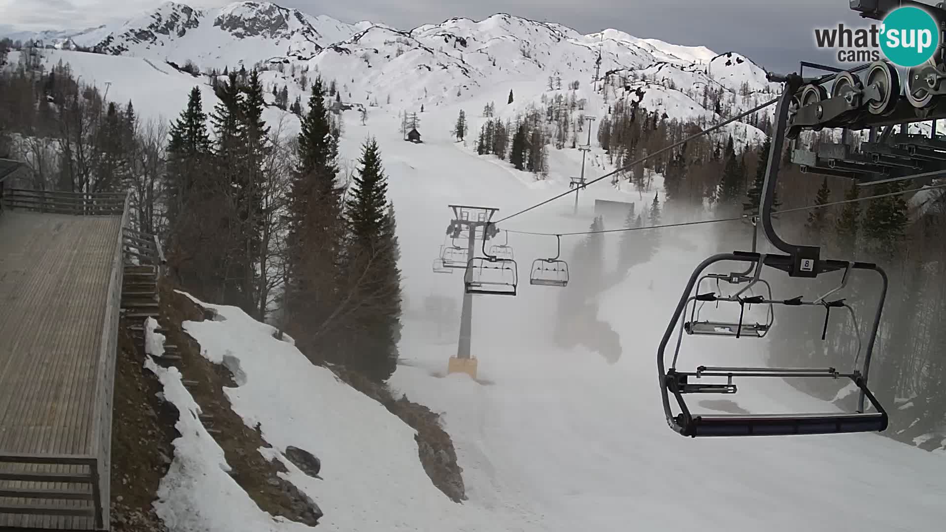 Vogel webcam kamera – Brunarica – Slowenien