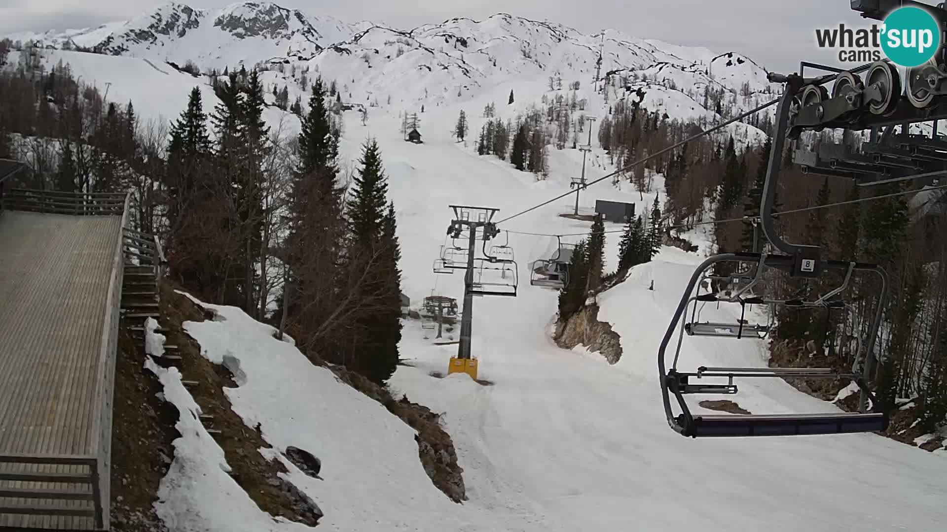 Vogel Live webcam – Brunarica – Slovénie