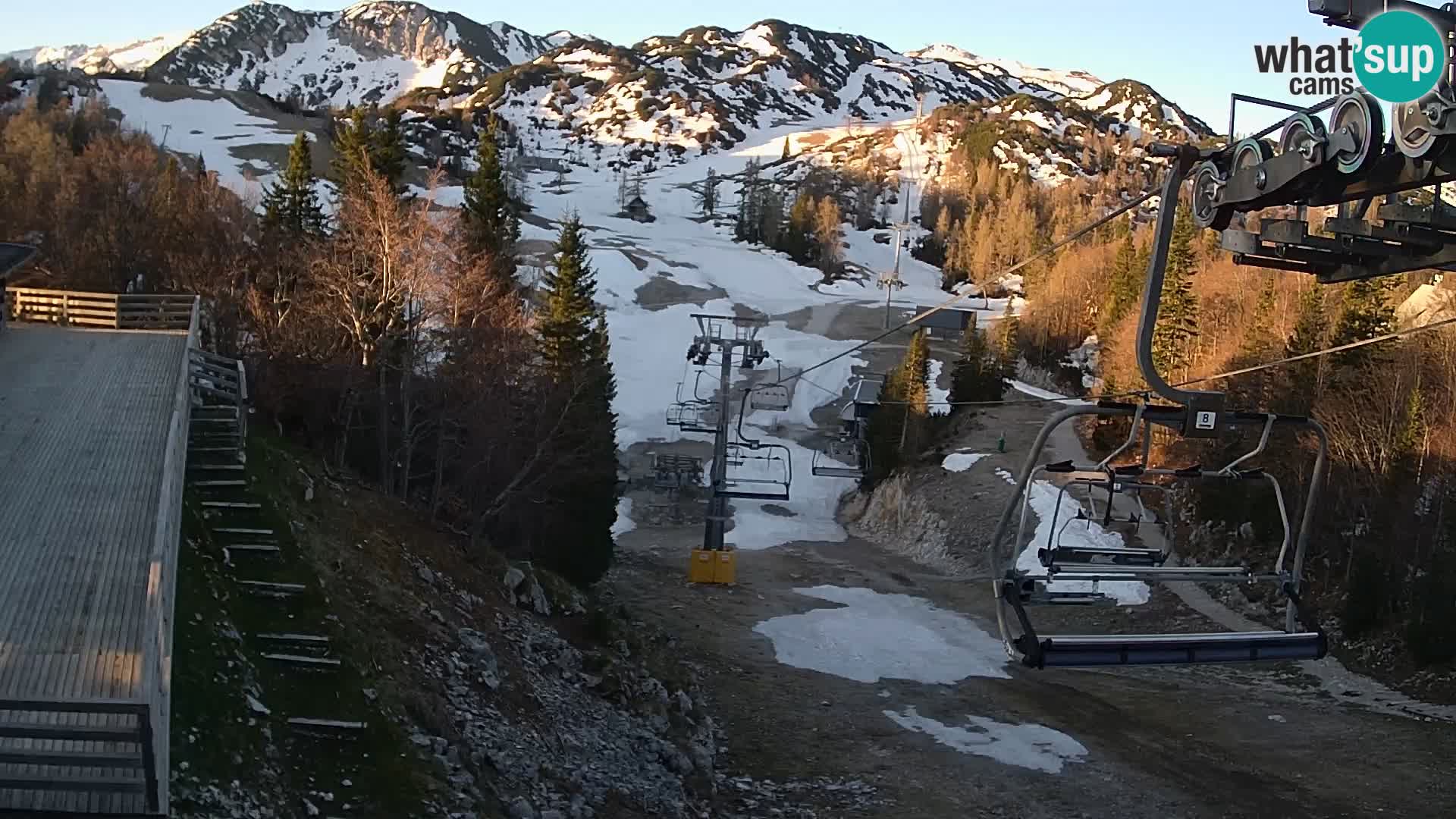 Vogel webcam en vivo – Brunarica – Eslovenia
