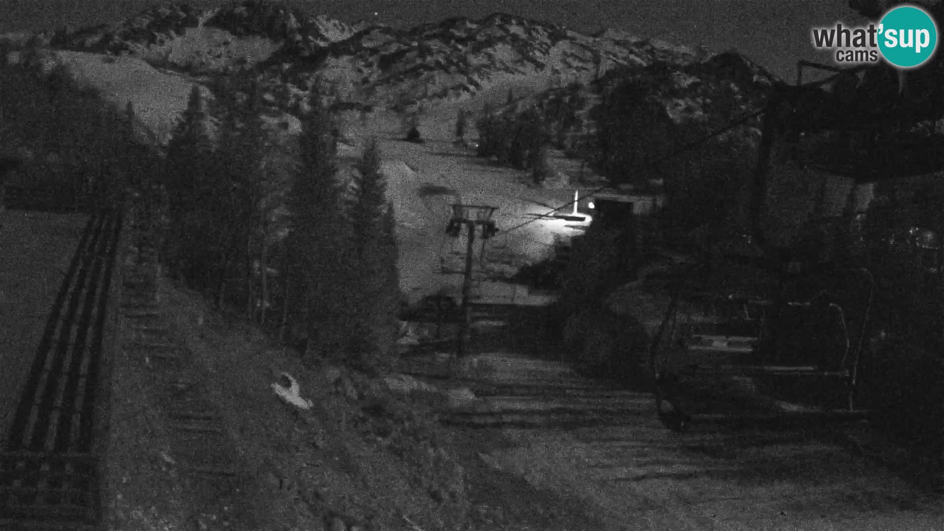 Vogel webcam kamera – Brunarica – Slowenien