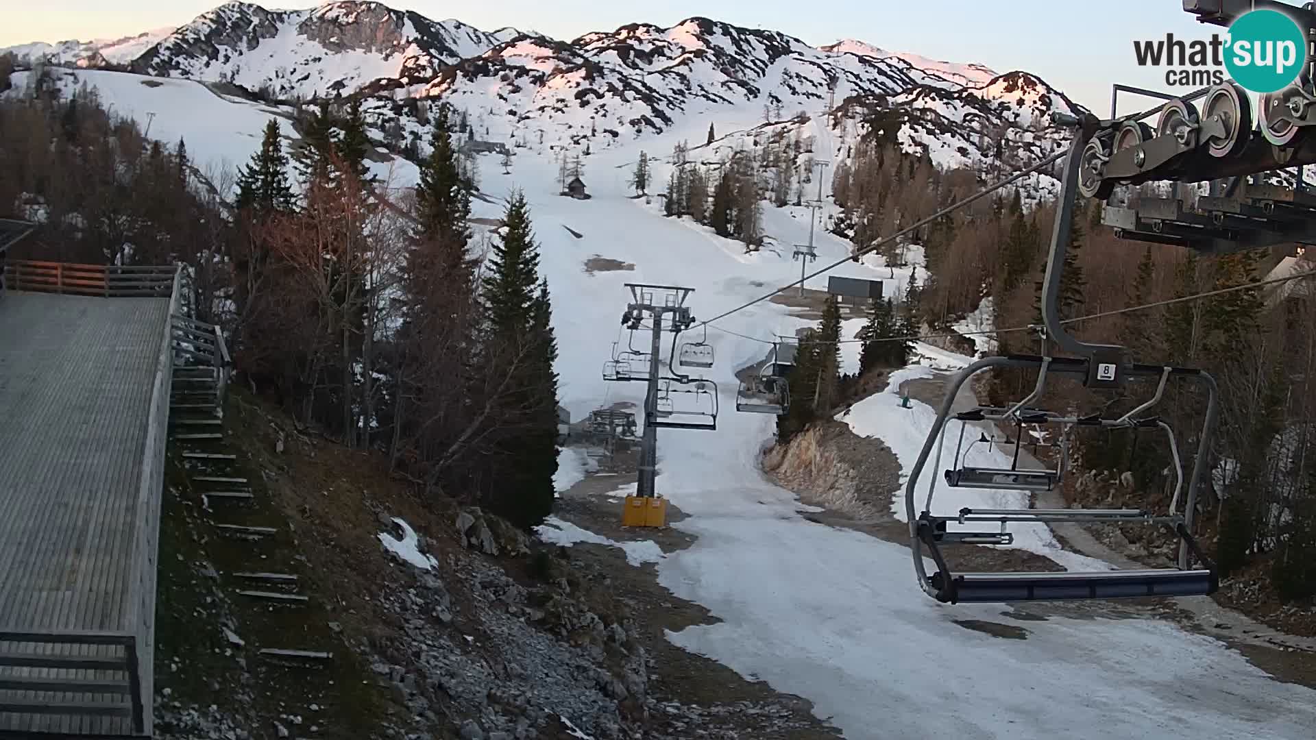 Vogel web kamera – Brunarica – Slovenija