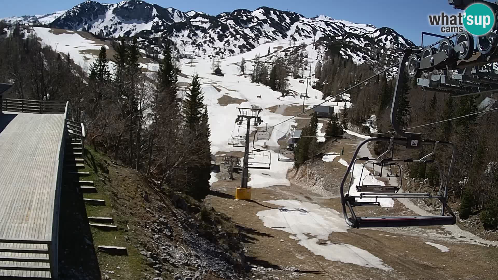 Vogel webcam en vivo – Brunarica – Eslovenia