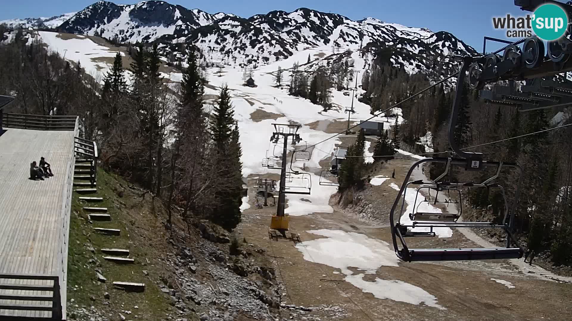 Vogel webcam kamera – Brunarica – Slowenien