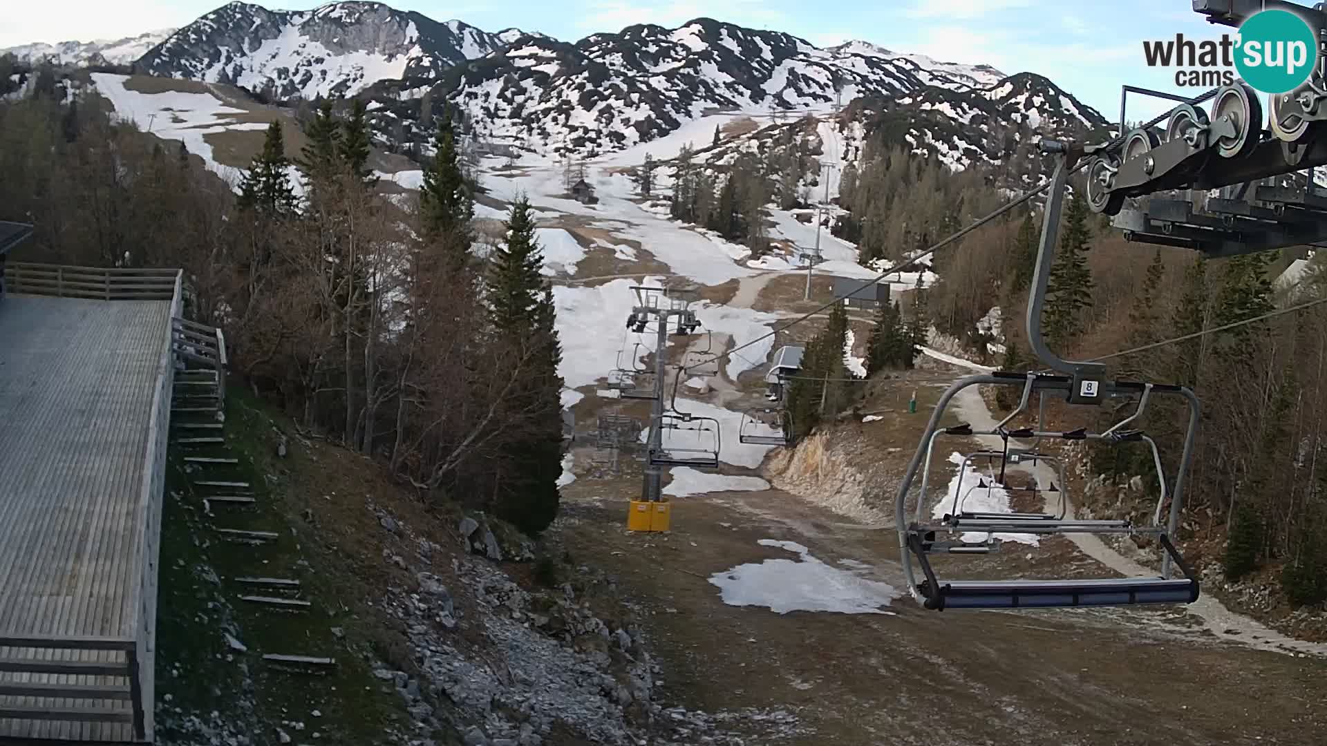 Vogel webcam kamera – Brunarica – Slowenien