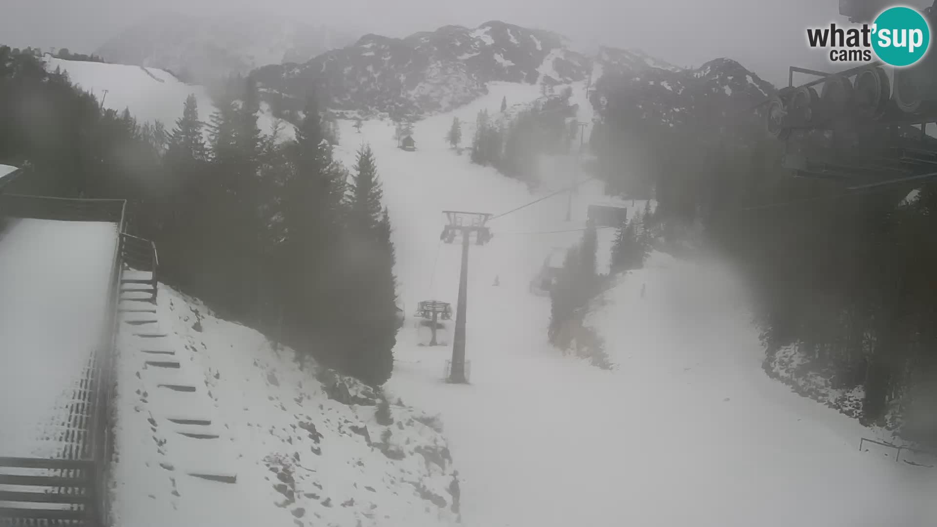 Vogel Live webcam – Brunarica – Slovenia