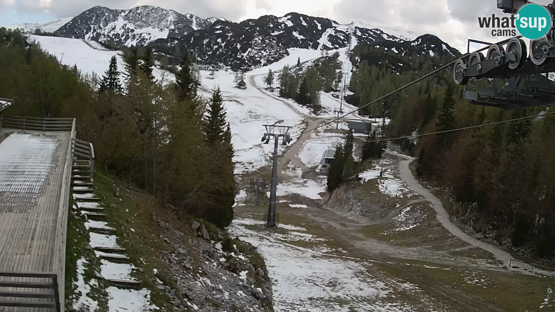 Vogel webcam en vivo – Brunarica – Eslovenia