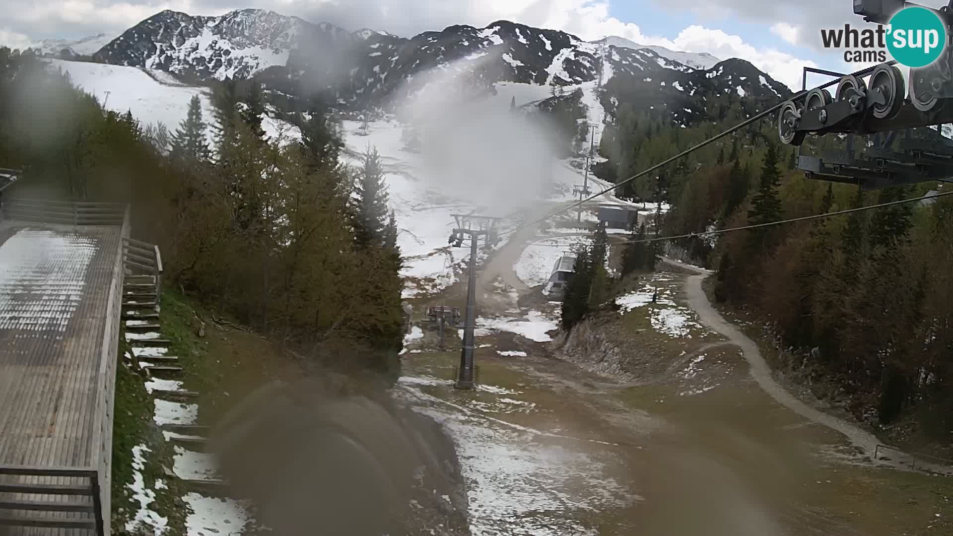 Vogel Live webcam – Brunarica – Slovénie