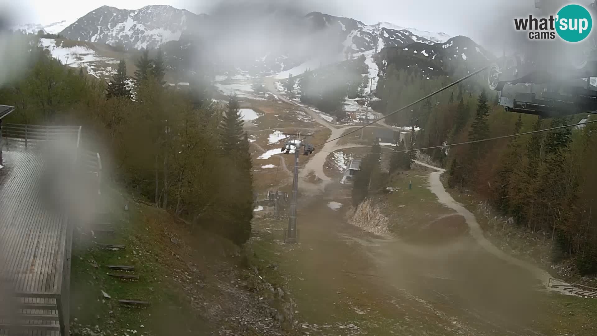 Vogel web kamera – Brunarica – Slovenija