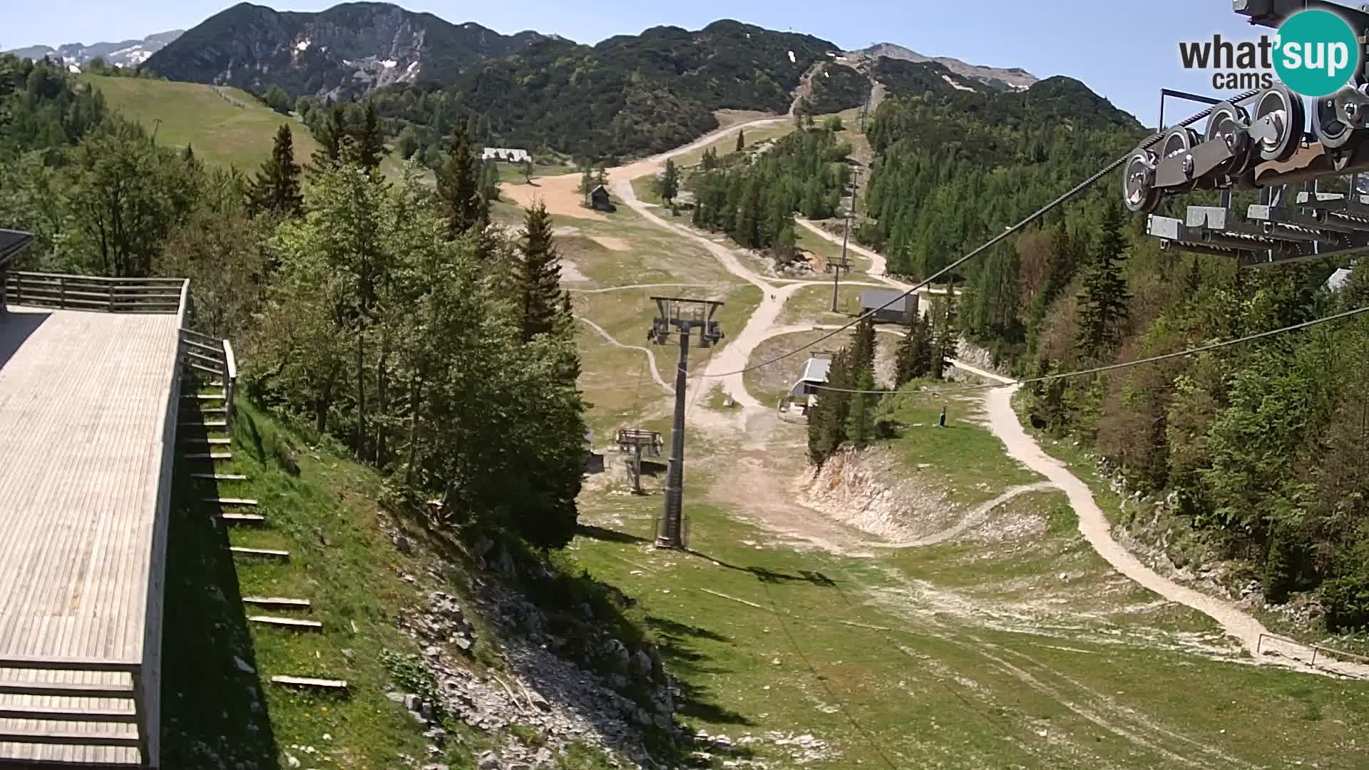 Vogel webcam kamera – Brunarica – Slowenien
